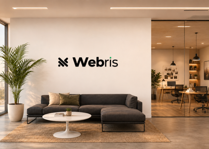 Birou office Webris Iasi